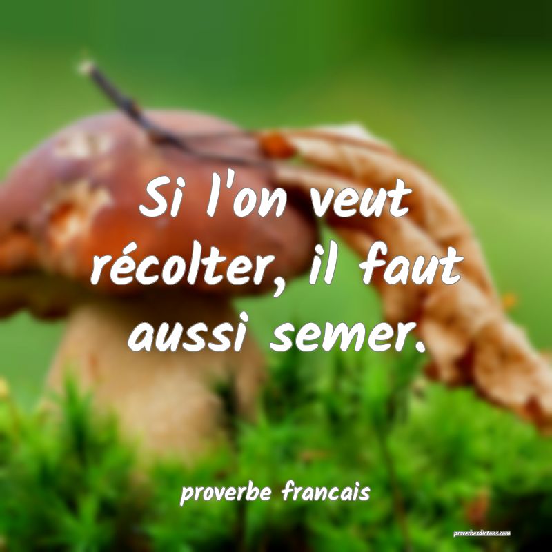 Si l'on veut récolter, il faut aussi semer.