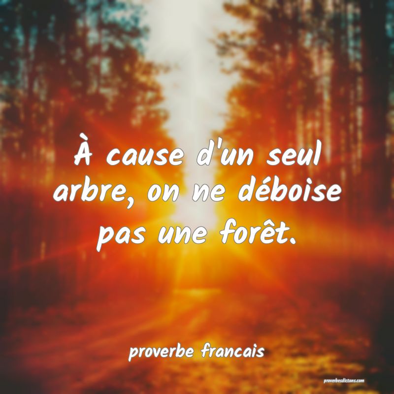 À cause d'un seul arbre, on ne déboise pas une forêt.