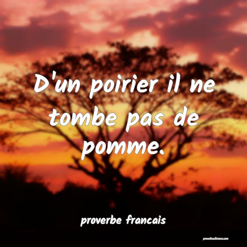 D'un poirier il ne tombe pas de pomme.