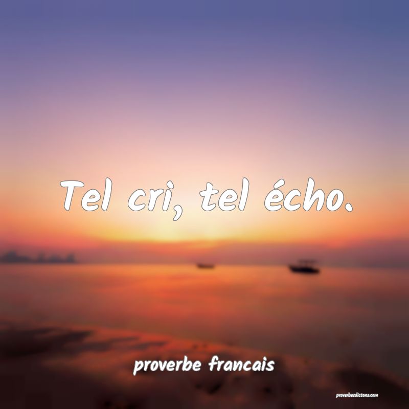  Tel cri, tel écho.