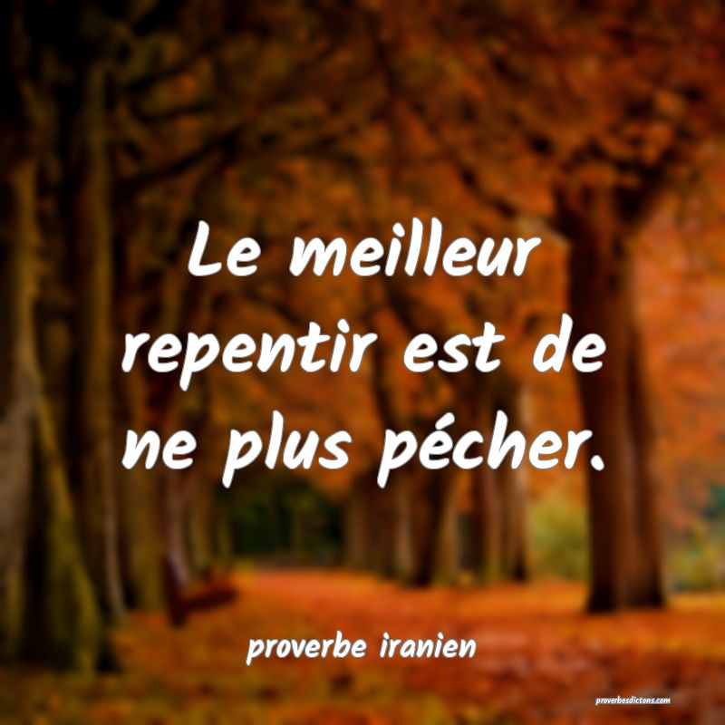  Le meilleur repentir est de ne plus pécher.