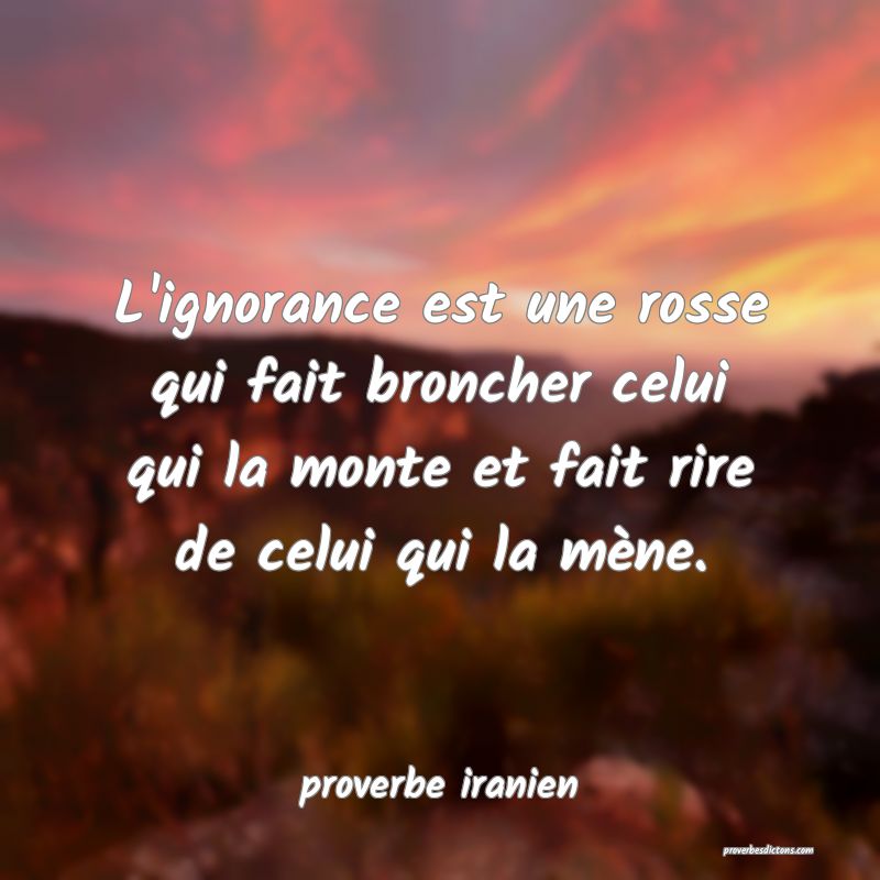  L'ignorance est une rosse qui fait broncher celui qui la monte et fait rire de celui qui la mène.