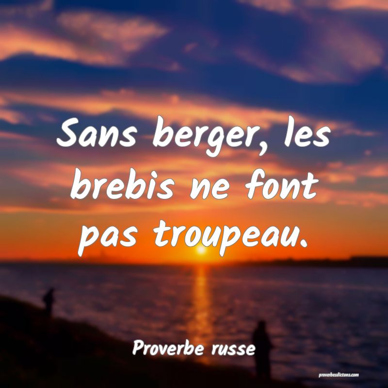  Sans berger, les brebis ne font pas troupeau.