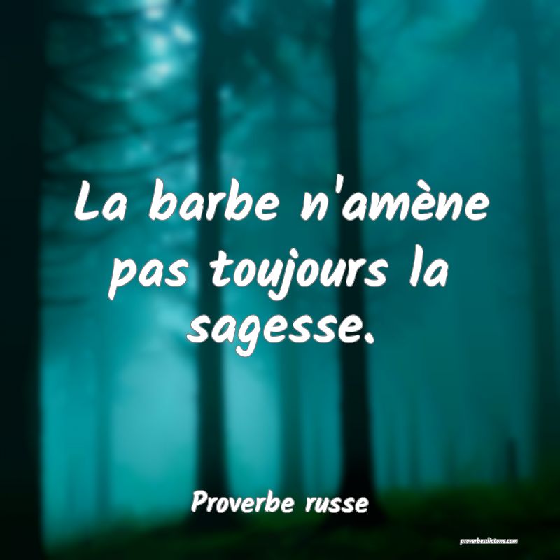  La barbe n'amène pas toujours la sagesse.
