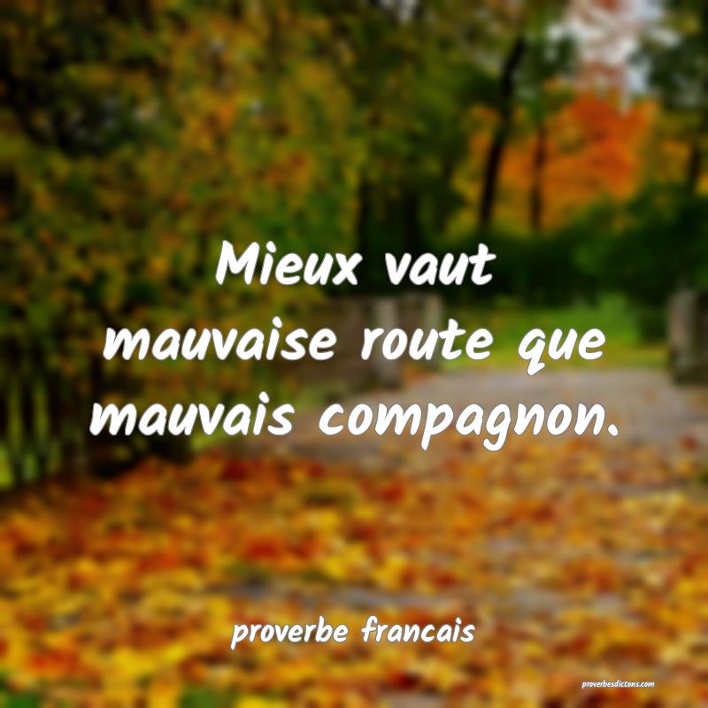  Mieux vaut mauvaise route que mauvais compagnon.