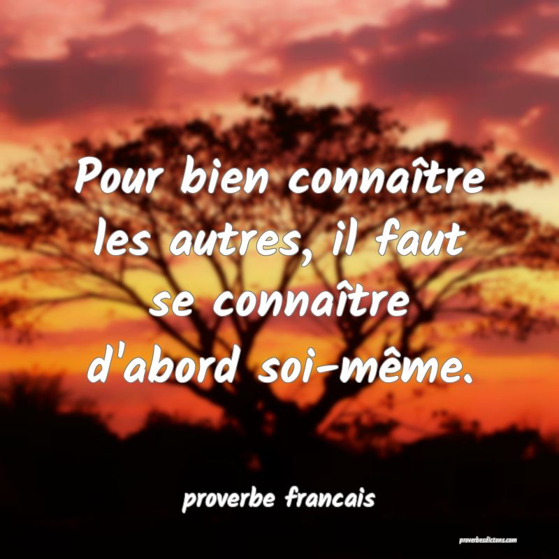  Pour bien connaître les autres, il faut se connaître d'abord soi-même. 