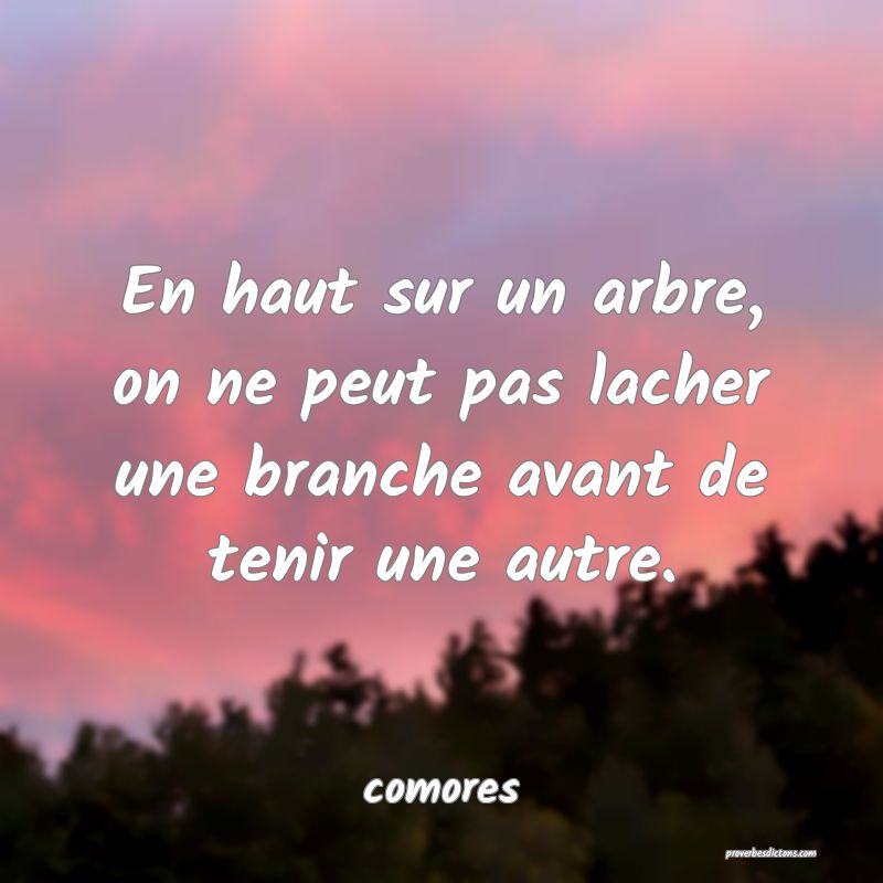  En haut sur un arbre, on ne peut pas lacher une branche avant de tenir une autre.