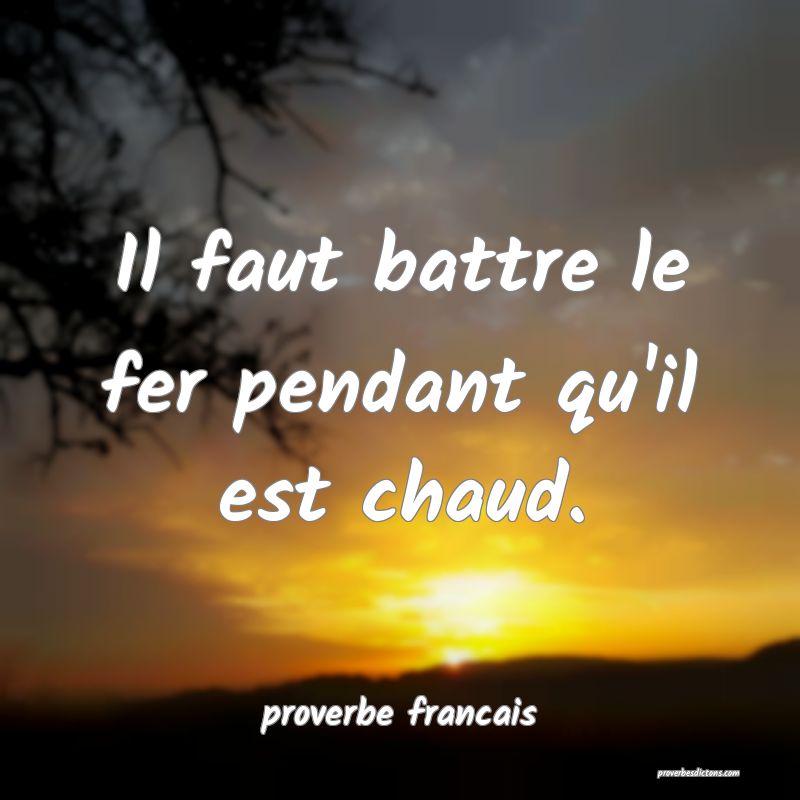  Il faut battre le fer pendant qu'il est chaud.