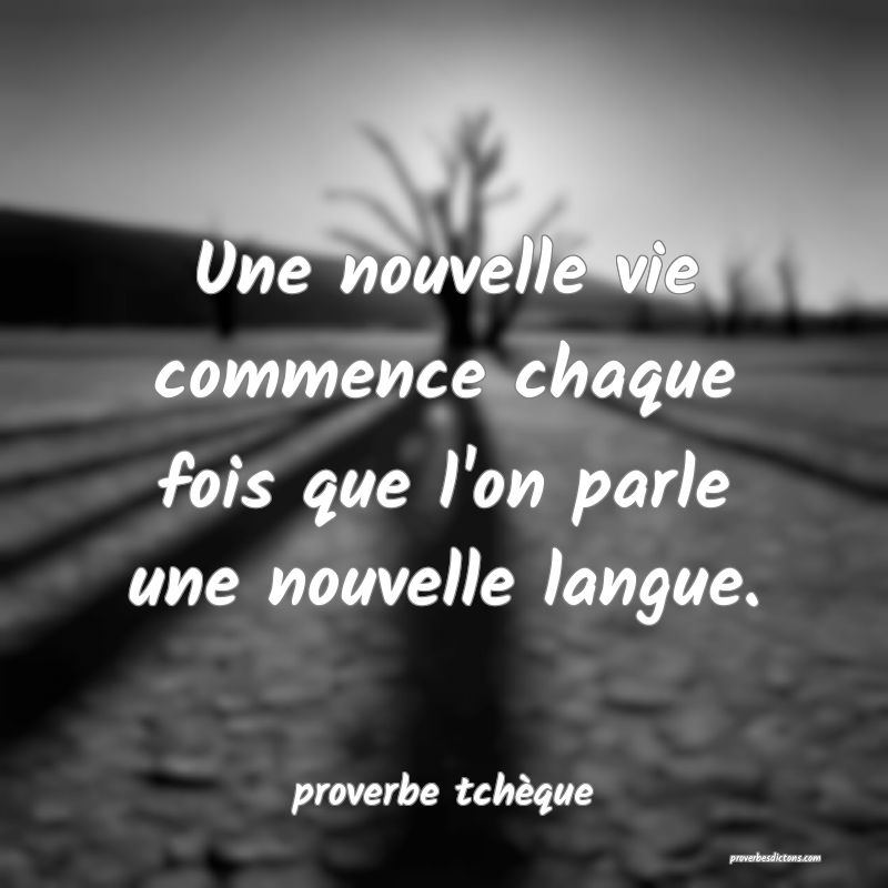Une nouvelle vie commence chaque fois que l'on parle une nouvelle langue.