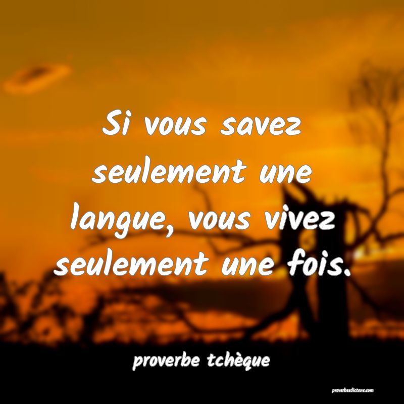  Si vous savez seulement une langue, vous vivez seulement une fois.