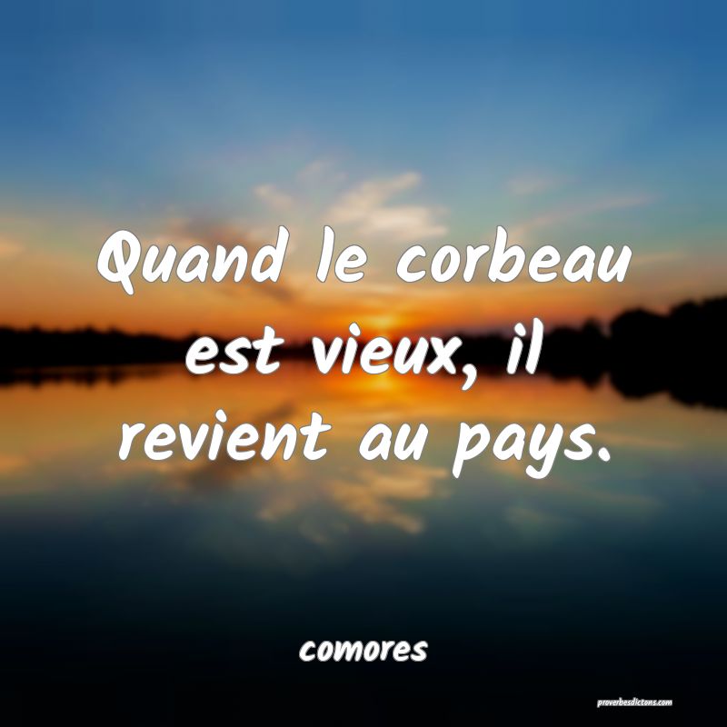  Quand le corbeau est vieux, il revient au pays.