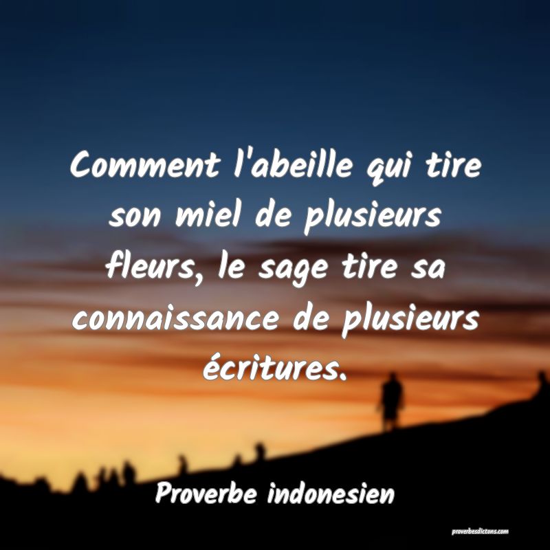 Comment l'abeille qui tire son miel de plusieurs fleurs, le sage tire sa connaissance de plusieurs écritures.