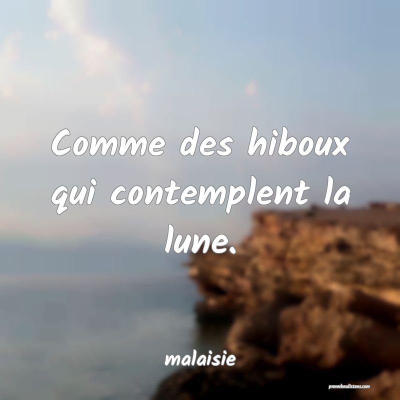  Comme des hiboux qui contemplent la lune.