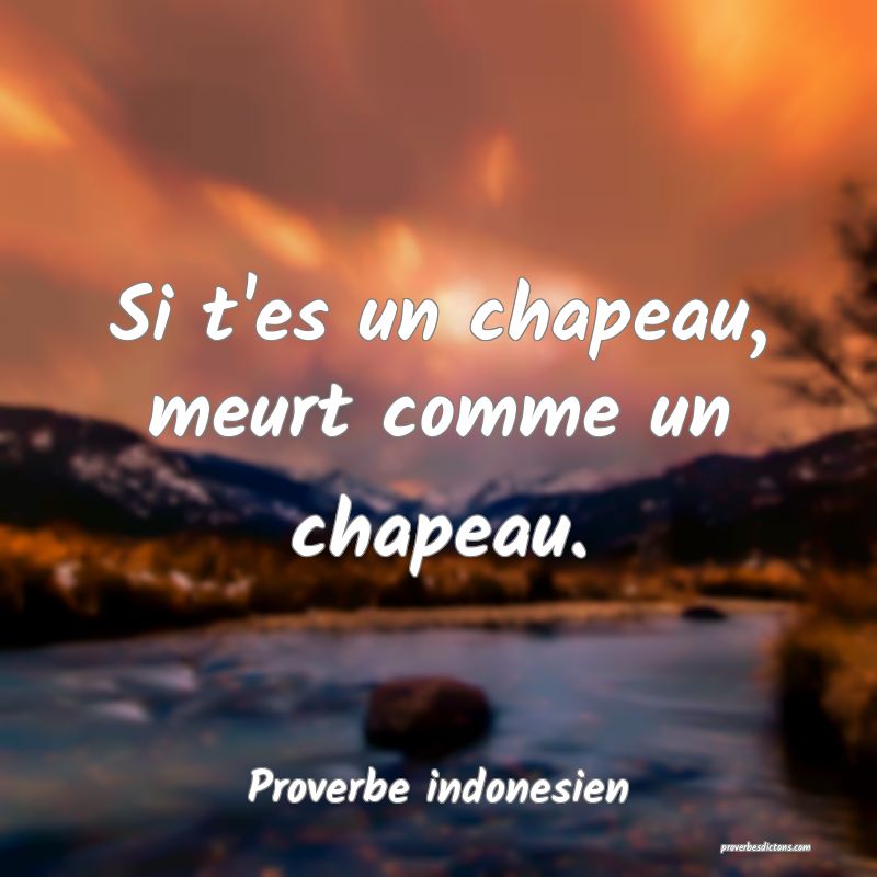  Si t'es un chapeau, meurt comme un chapeau.