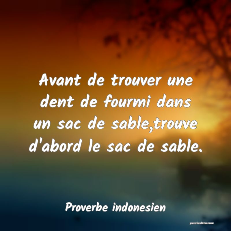  Avant de trouver une dent de fourmi dans un sac de sable,trouve d'abord le sac de sable.