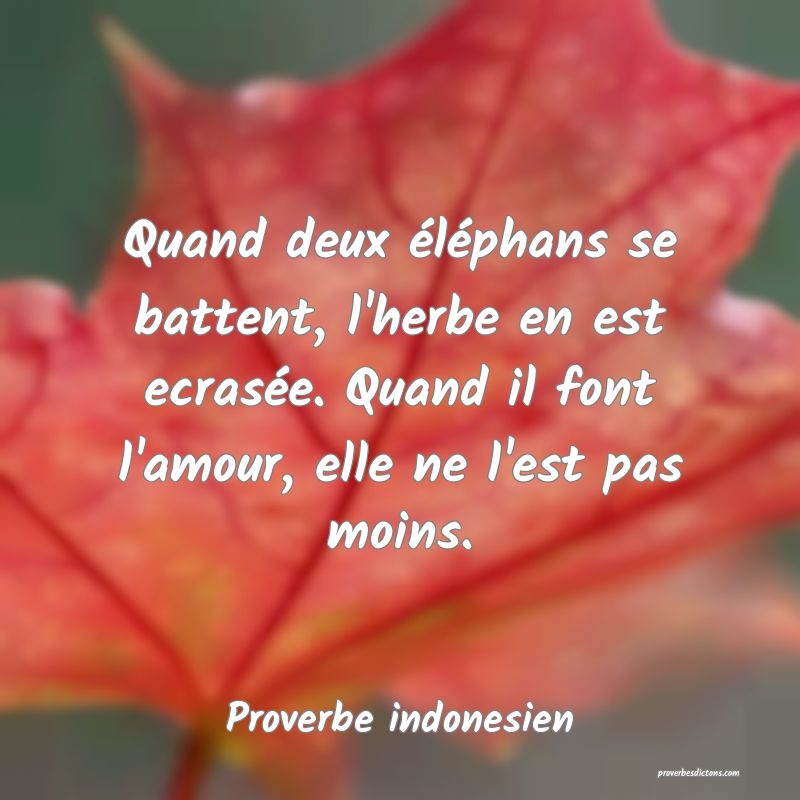  Quand deux éléphans se battent, l'herbe en est ecrasée. Quand il font l'amour, elle ne l'est pas moins.