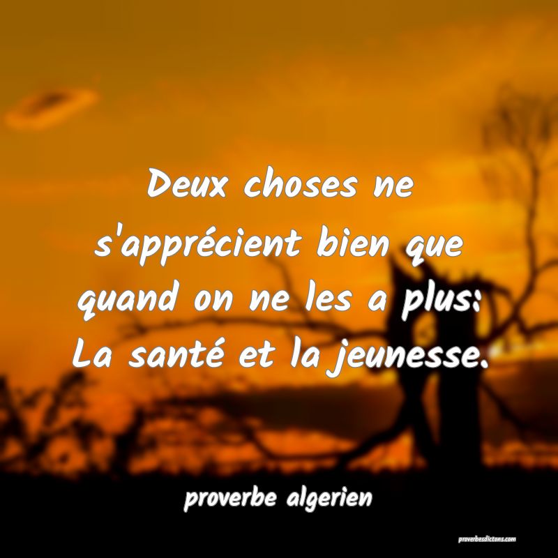  Deux choses ne s'apprécient bien que quand on ne les a plus: La santé et la jeunesse.