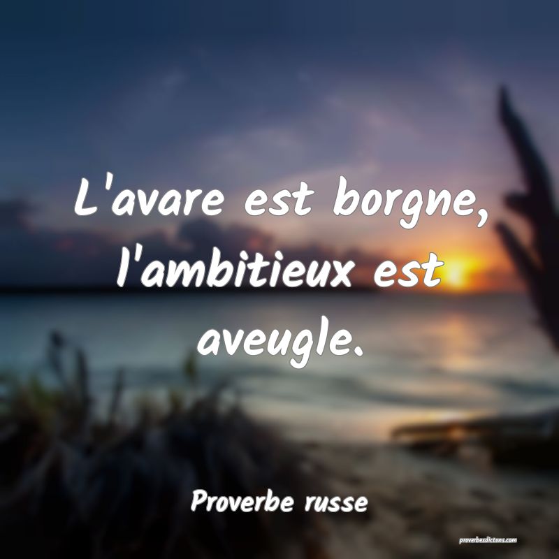  L'avare est borgne, l'ambitieux est aveugle.