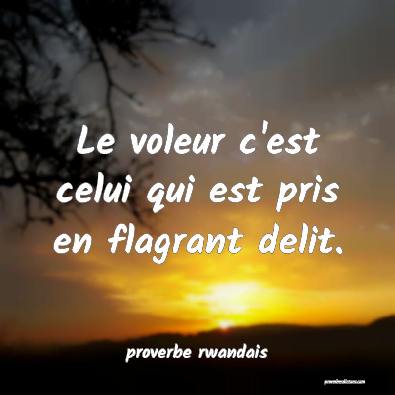  Le voleur c'est celui qui est pris en flagrant delit.