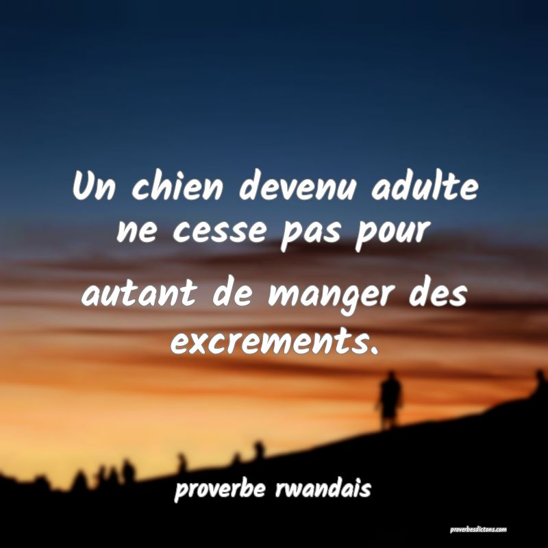  Un chien devenu adulte ne cesse pas pour autant de manger des excrements.