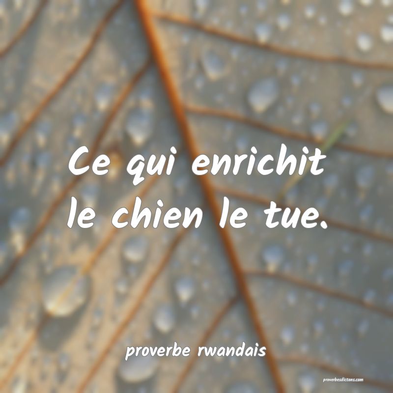  Ce qui enrichit le chien le tue.