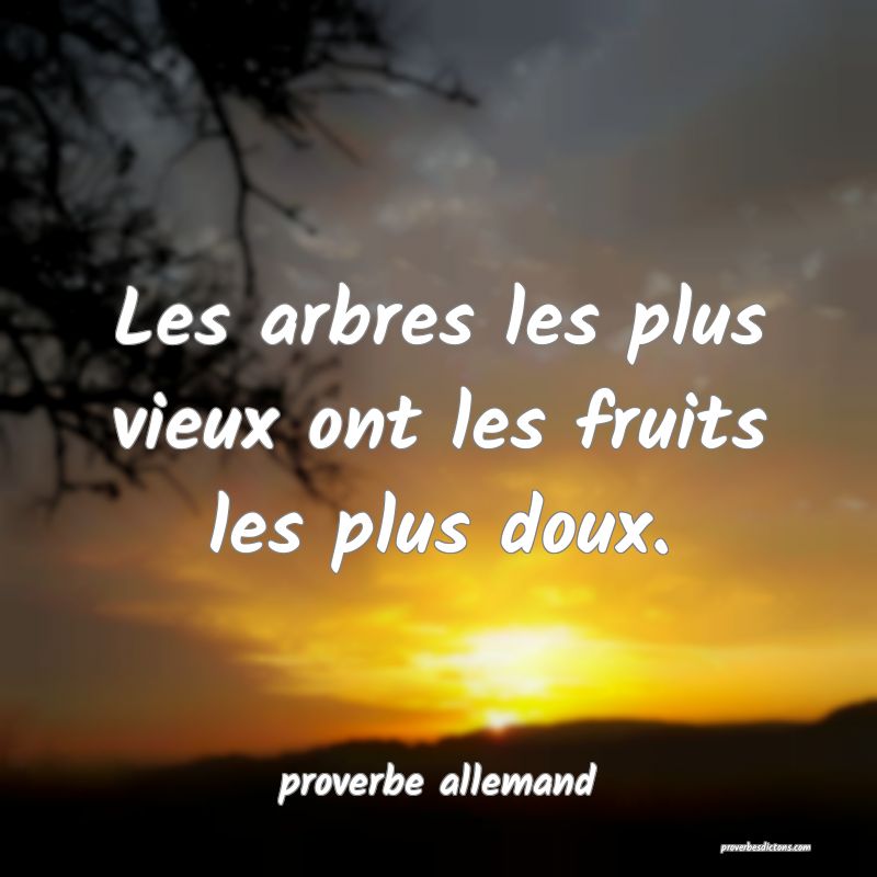  Les arbres les plus vieux ont les fruits les plus doux.