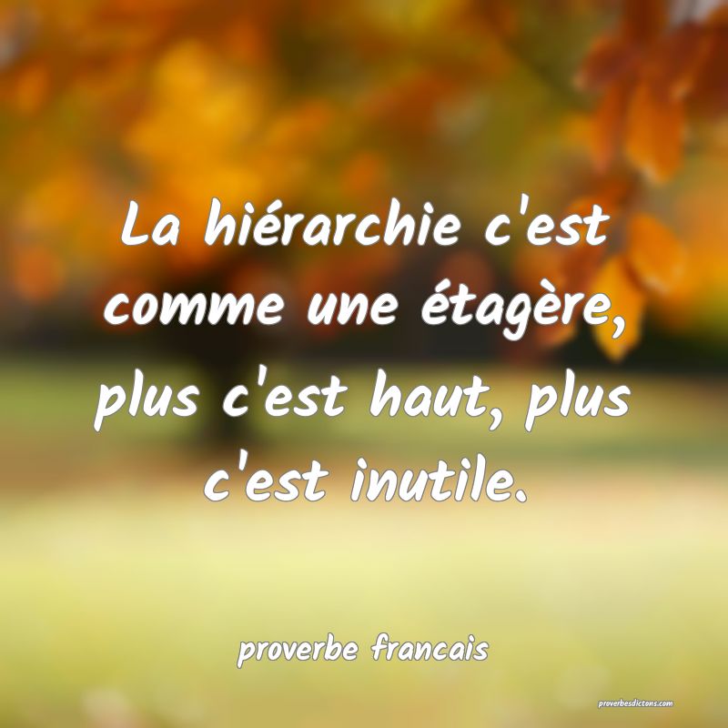  La hiérarchie c'est comme une étagère, plus c'est haut, plus c'est inutile. 