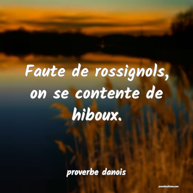  Faute de rossignols, on se contente de hiboux.