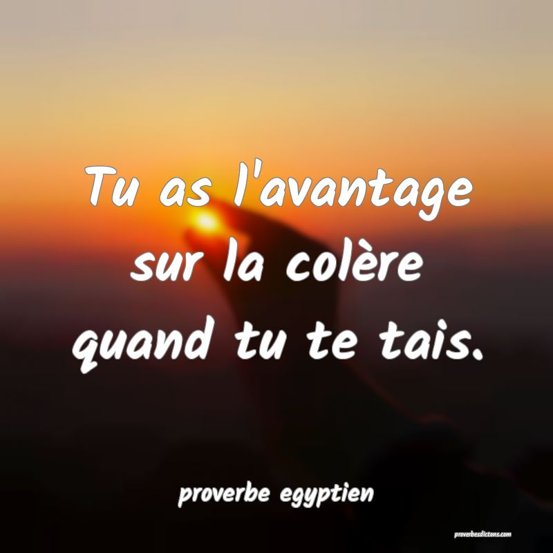  Tu as l'avantage sur la colère quand tu te tais.