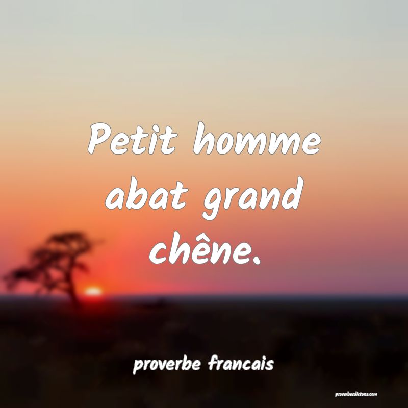  Petit homme abat grand chêne.