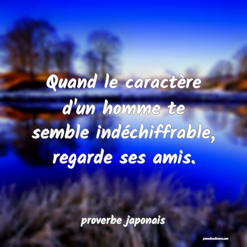 Quand le caractère d'un homme te semble indéchiffrable, regarde ses amis.