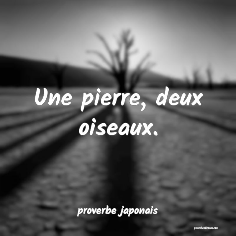  Une pierre, deux oiseaux.