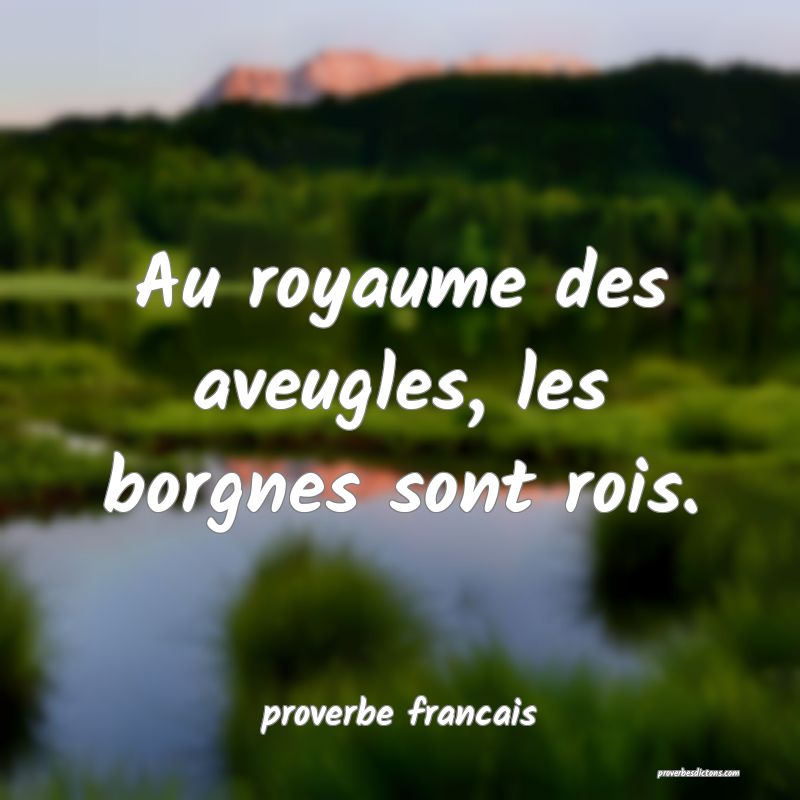  Au royaume des aveugles, les borgnes sont rois.
