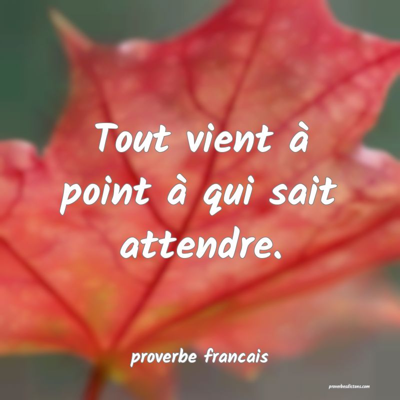  Tout vient à point à qui sait attendre.