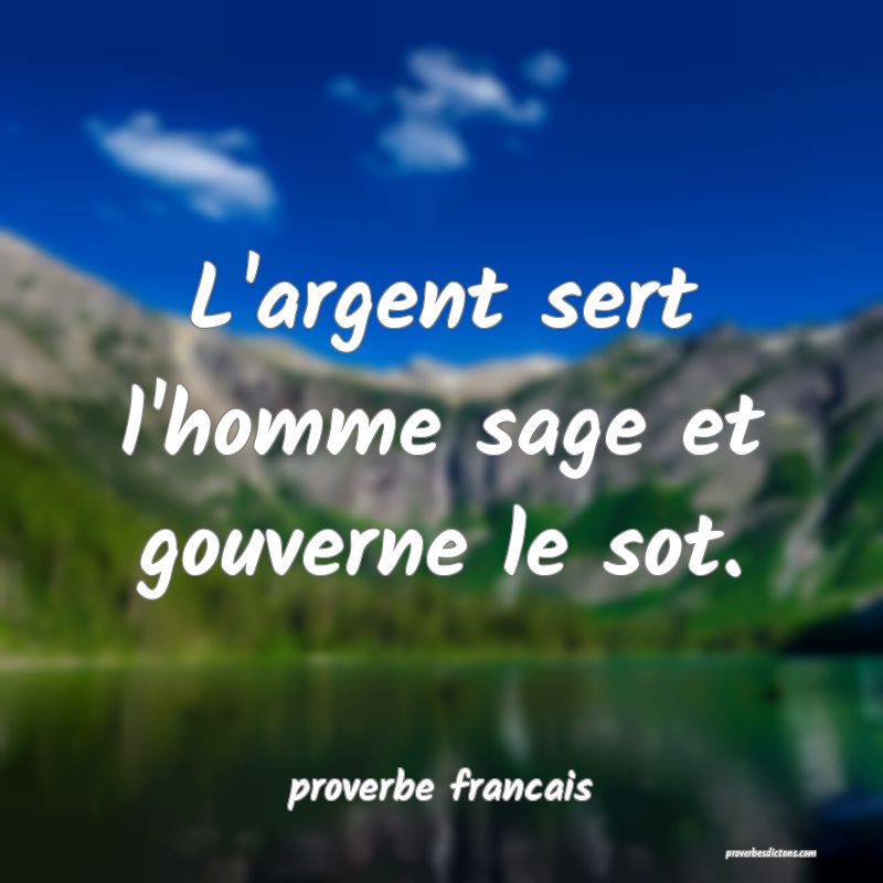  L'argent sert l'homme sage et gouverne le sot.