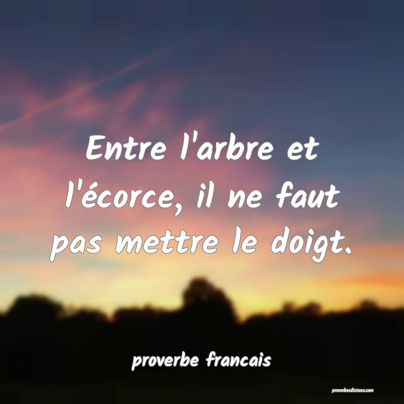  Entre l'arbre et l'écorce, il ne faut pas mettre le doigt.