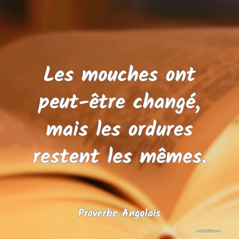  Les mouches ont peut-être changé, mais les ordures restent les mêmes.