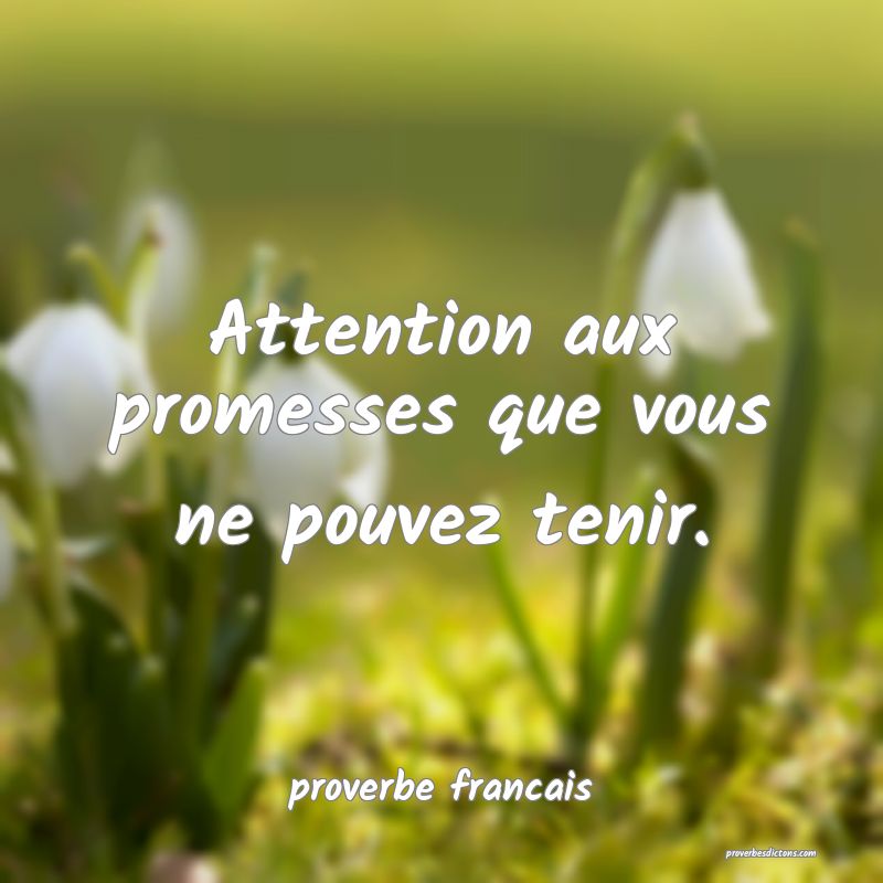  Attention aux promesses que vous ne pouvez tenir.