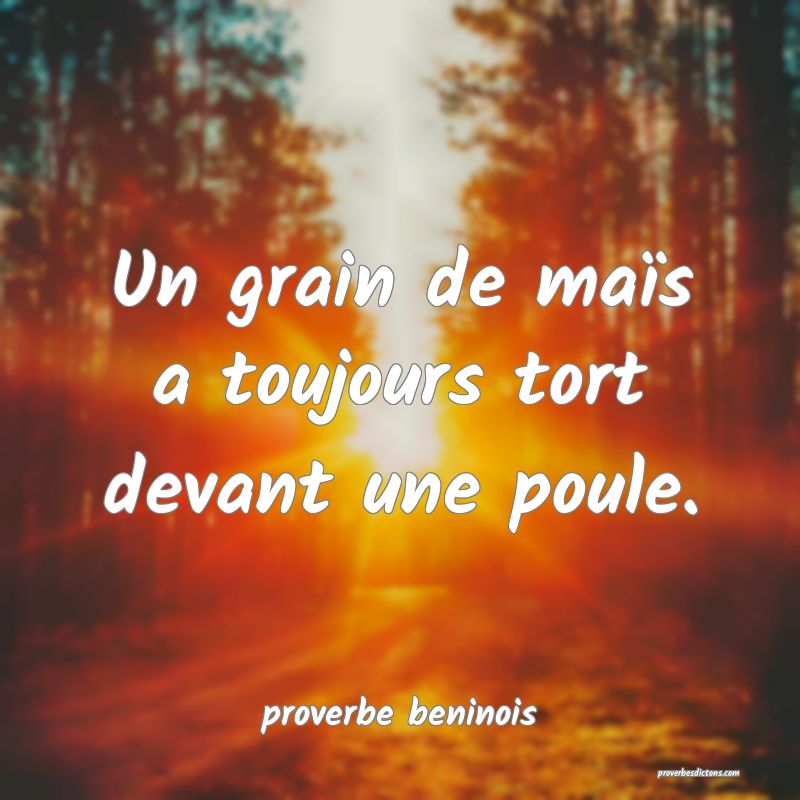  Un grain de maïs a toujours tort devant une poule.