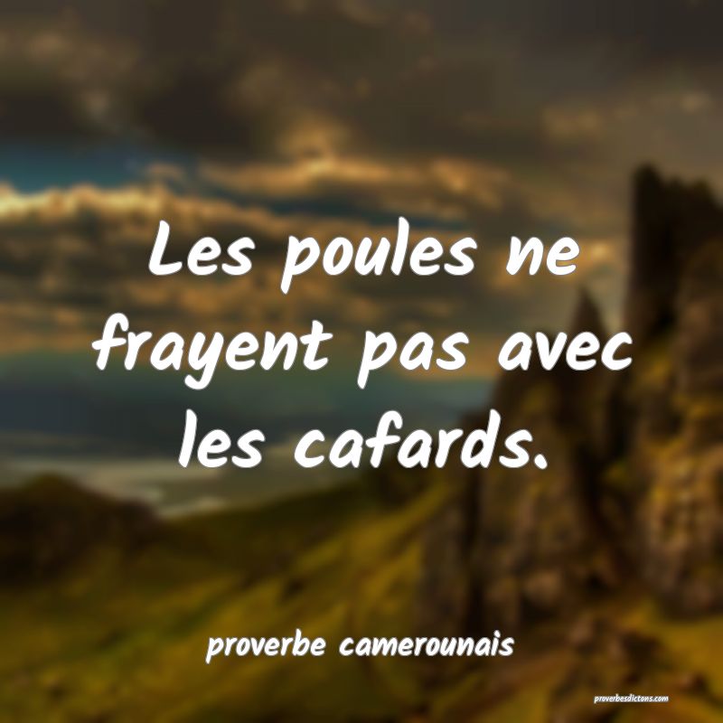  Les poules ne frayent pas avec les cafards.