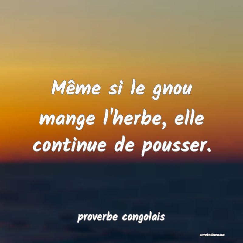  Même si le gnou mange l'herbe, elle continue de pousser.