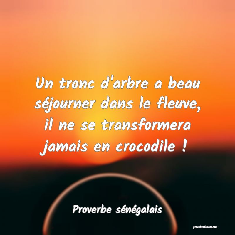  Un tronc d'arbre a beau séjourner dans le fleuve, il ne se transformera jamais en crocodile !