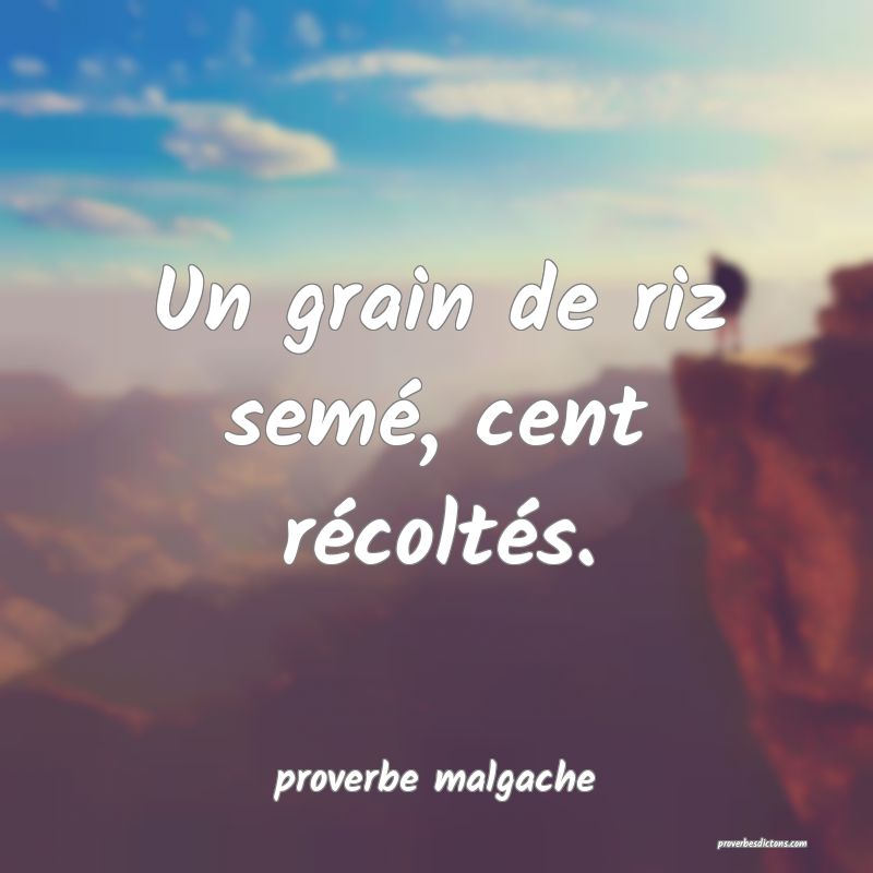  Un grain de riz semé, cent récoltés.