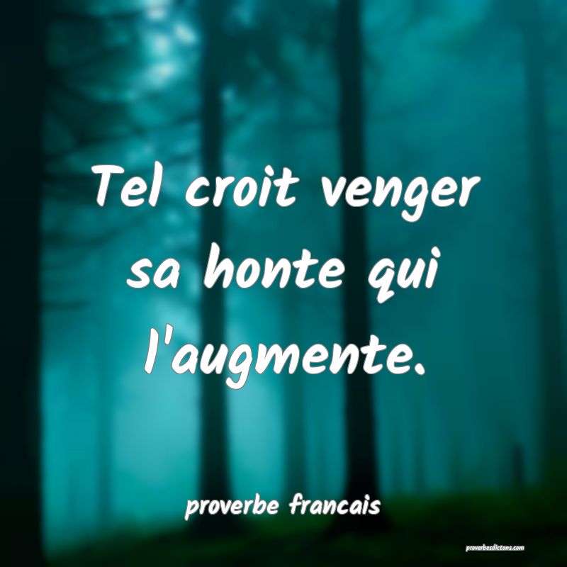  Tel croit venger sa honte qui l'augmente.