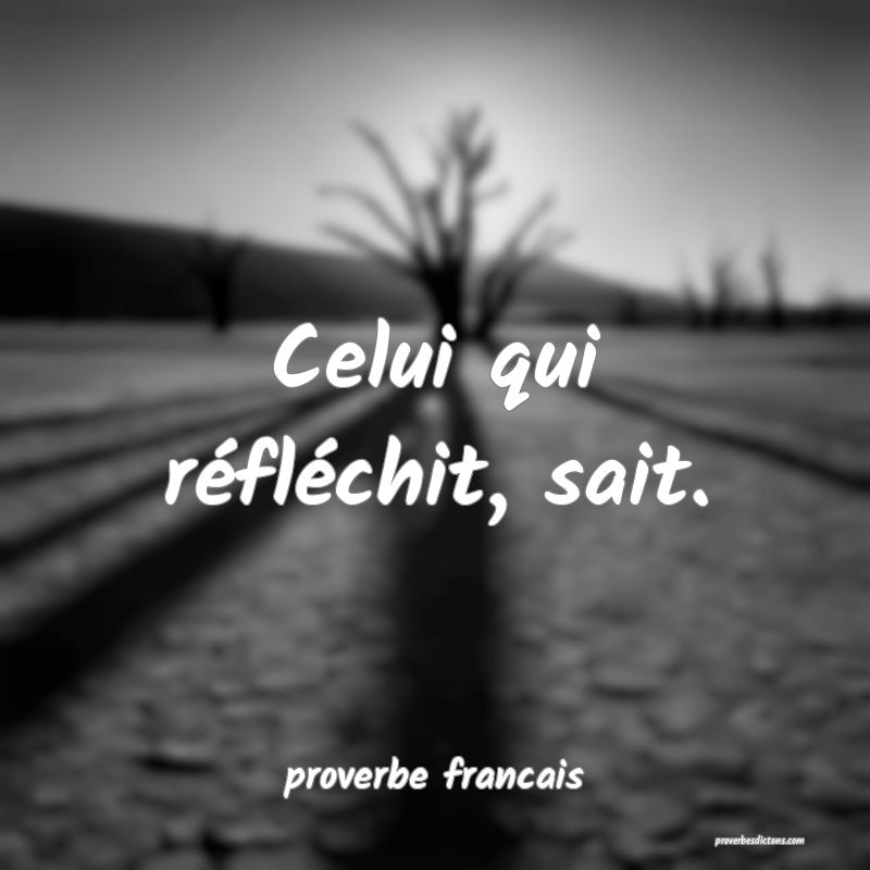  Celui qui réfléchit, sait.