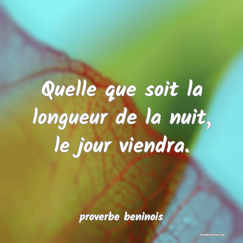  Quelle que soit la longueur de la nuit, le jour viendra.