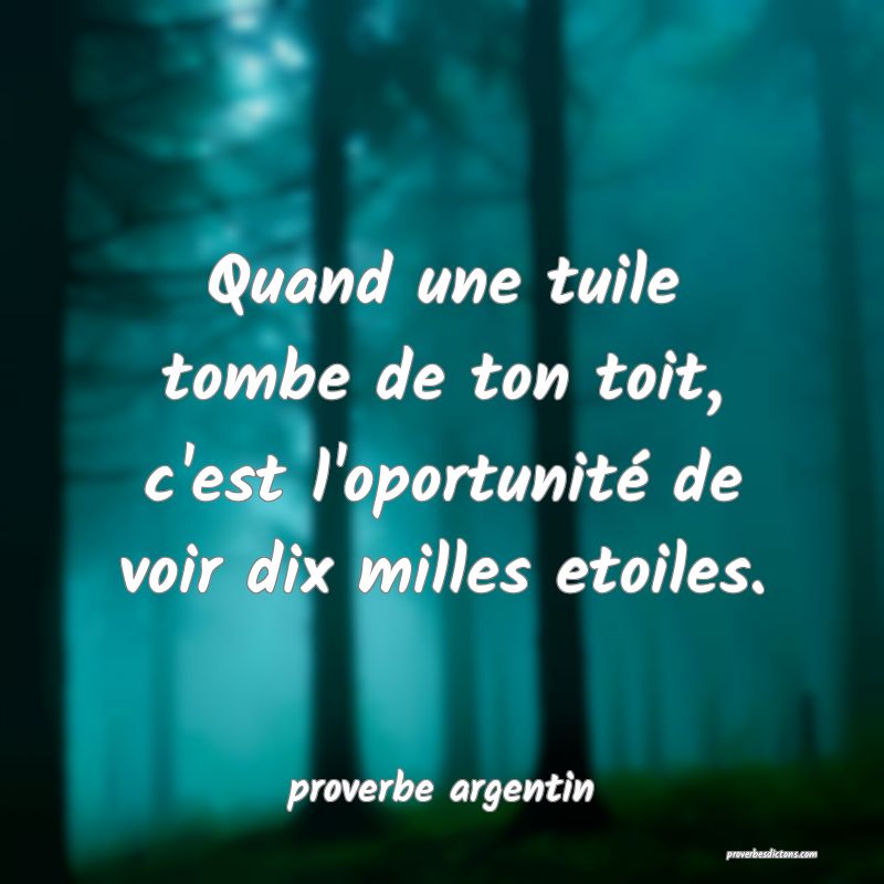  Quand une tuile tombe de ton toit, c'est l'oportunité de voir dix milles etoiles.