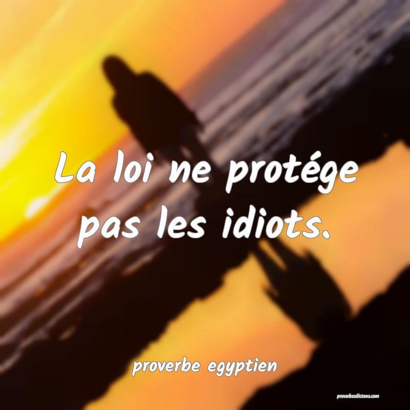  La loi ne protége pas les idiots.