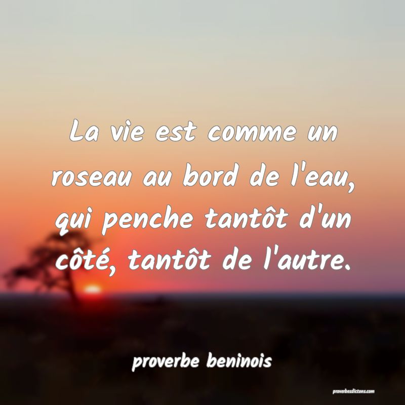 La vie est comme un roseau au bord de l'eau, qui penche tantôt d'un côté, tantôt de l'autre.