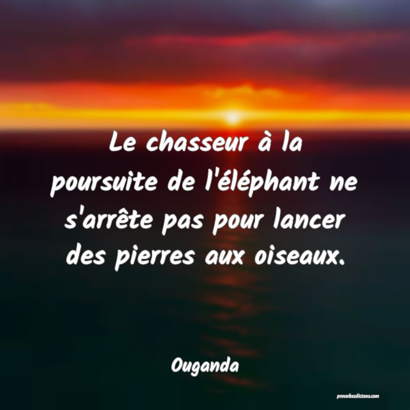  Le chasseur à la poursuite de l'éléphant ne s'arrête pas pour lancer des pierres aux oiseaux.